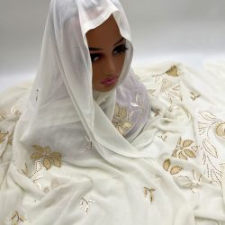 Mansi - BGMA - 3809 (6)