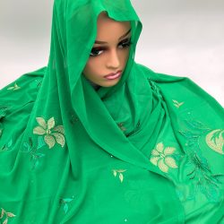 Mansi - BGMA - 3809 (7)