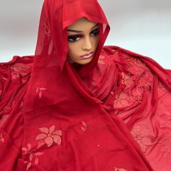 Mansi - BGMA - 3809 (12)