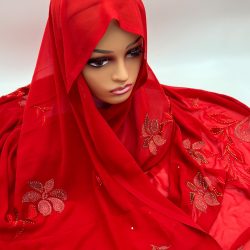 Mansi - BGMA - 3809 (9)
